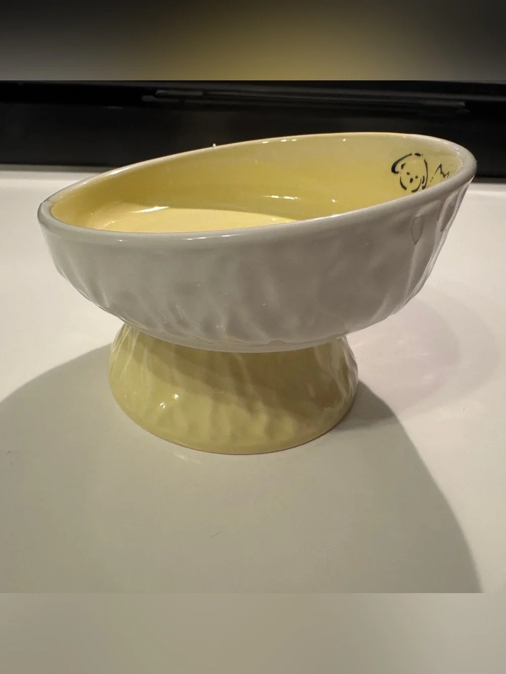 Tilted 15° Elevated Pet Food Bowl